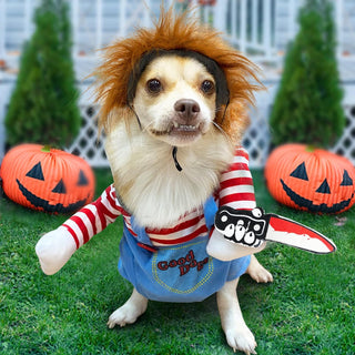 Hunde Halloween Kostüm