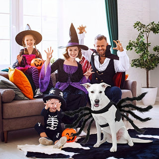 Spinnen-Halloween Kostüm für Hunde